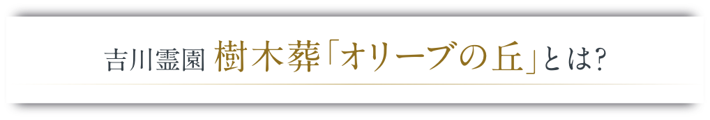 吉川霊園樹木葬「オリーブの丘」とは？